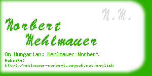 norbert mehlmauer business card